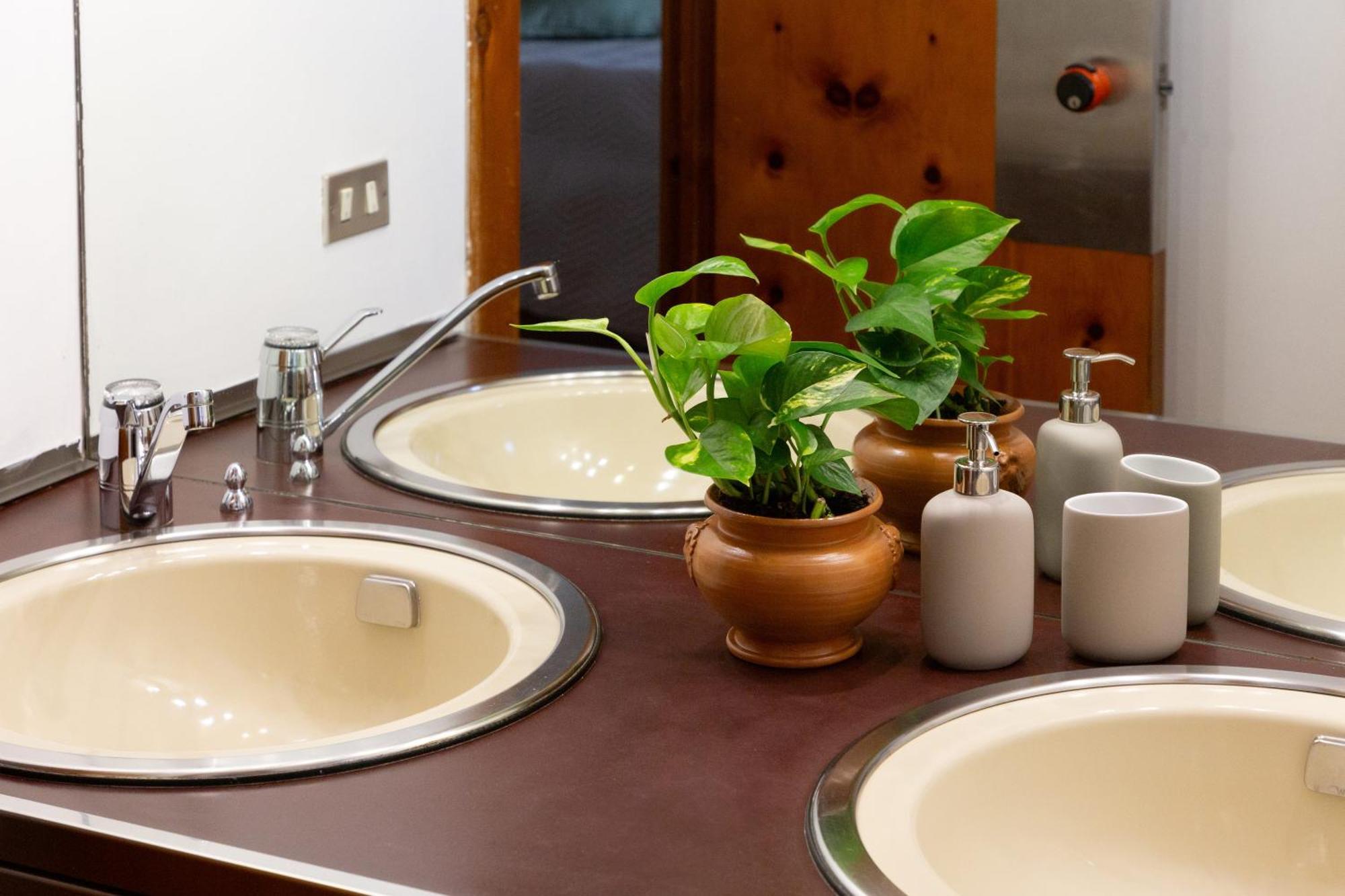 B&B Le Foglie D'Ulivo Μπάρι Εξωτερικό φωτογραφία